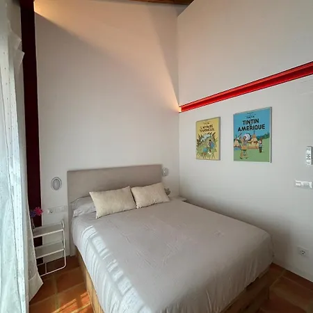 Lofts & Casa de Férias Oliva